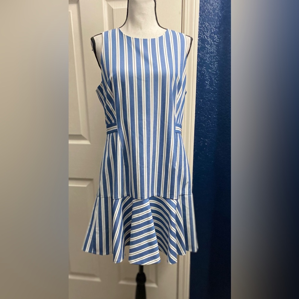 Banana Republic Blue and White Striped Mini Dress